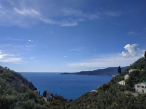 VILLA BARBARA Zoagli